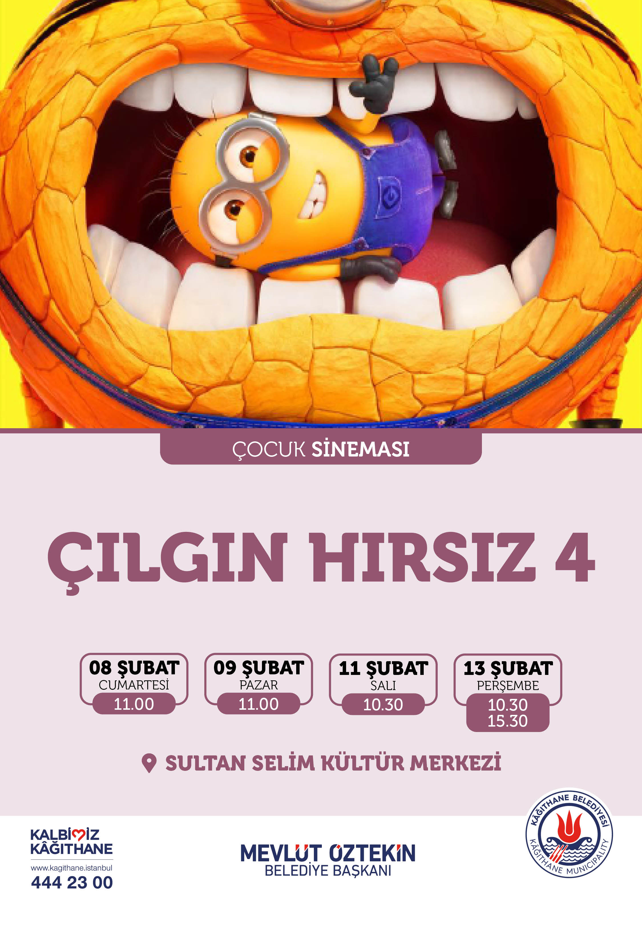 ÇILGIN HIRSIZ 4