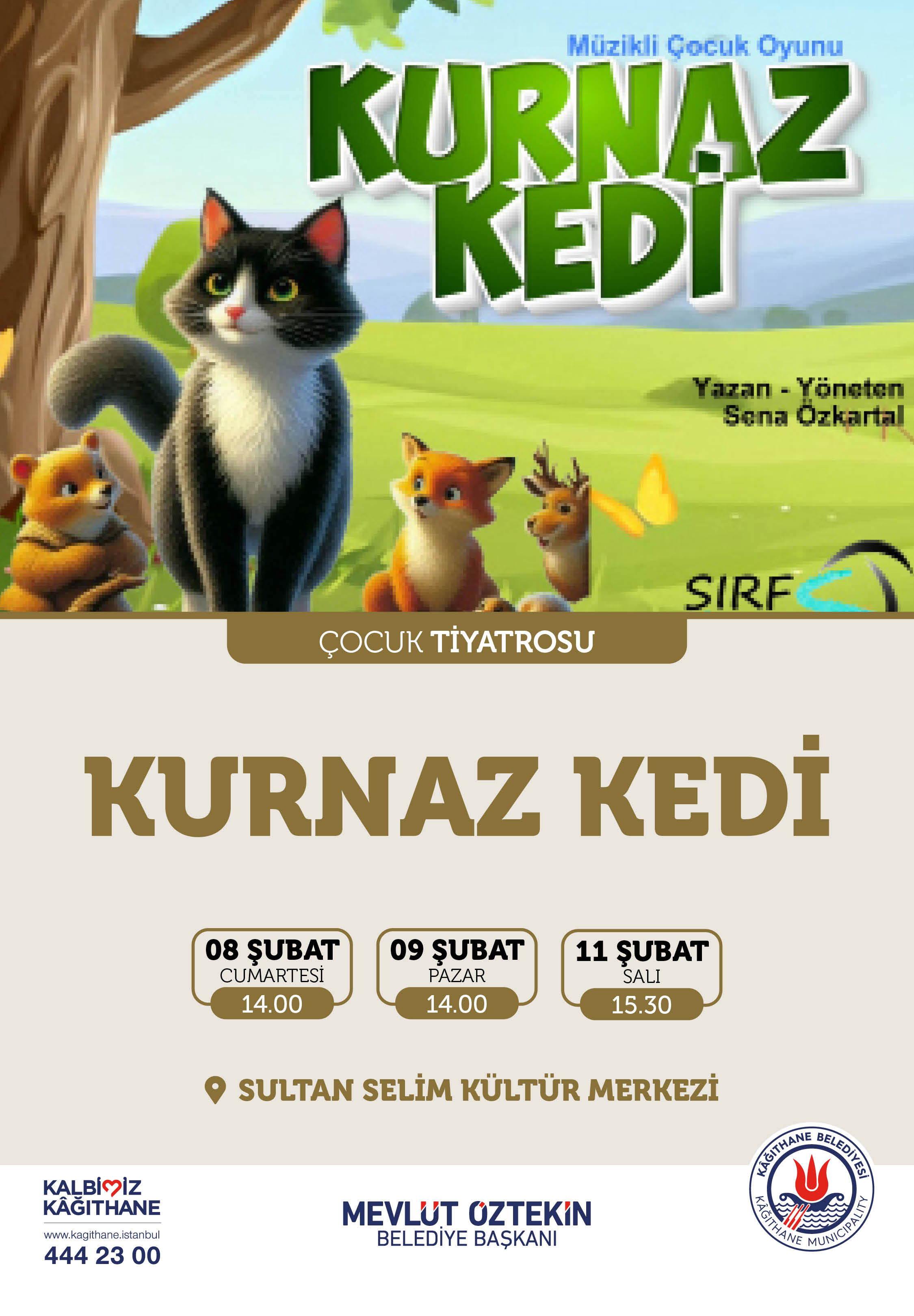 KURNAZ KEDİ