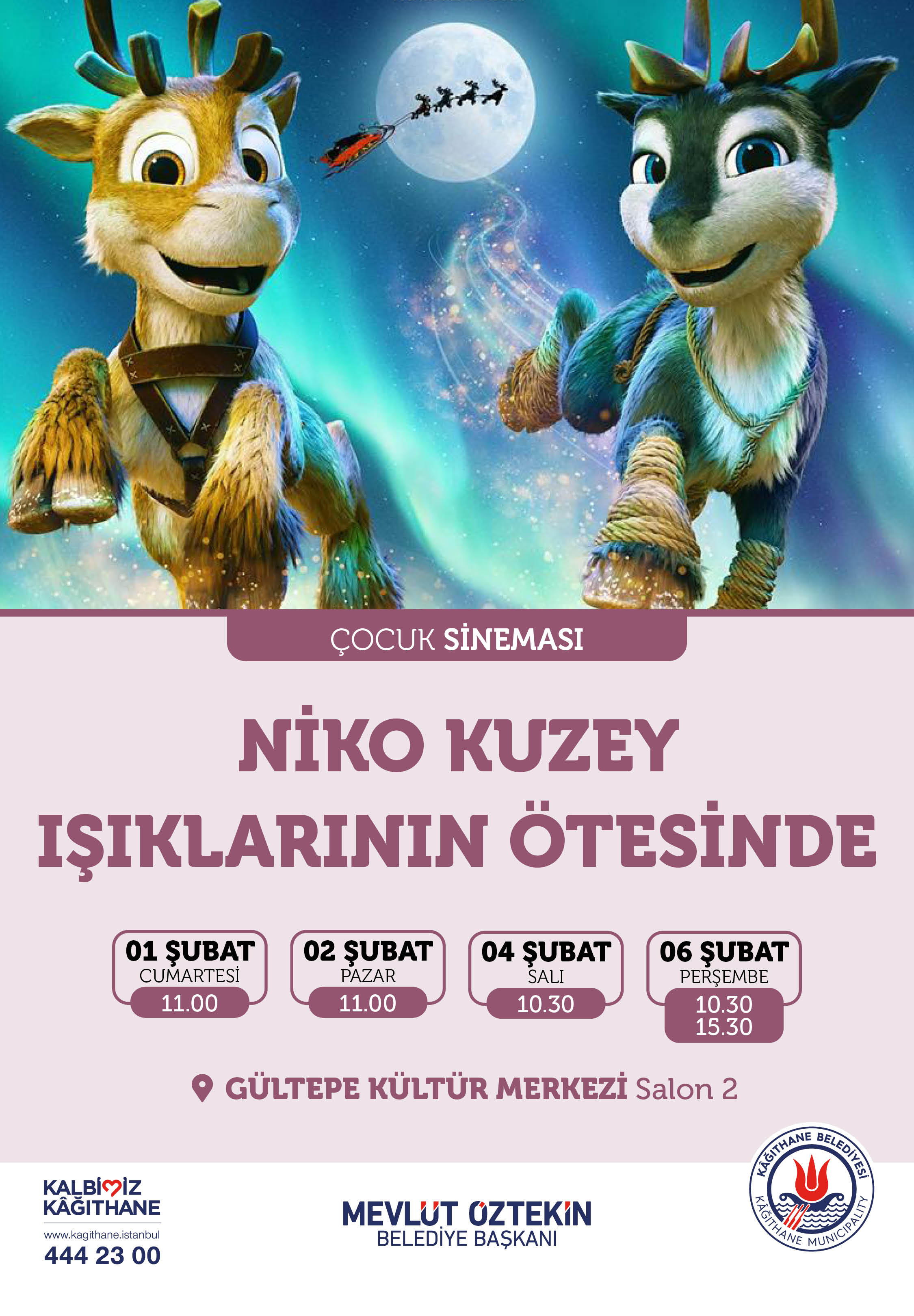 NİKO KUZEY  IŞIKLARININ  ÖTESİNDE